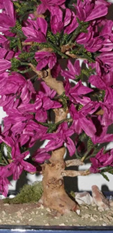 azalea bonsai fiorita con perline