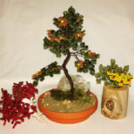 composizione mista bonsai di perline (B)