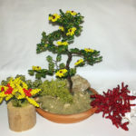 composizione mista bonsai di perline (I)