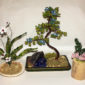 composizione mista bonsai di perline (T)