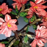 fiori di melograno bonsai