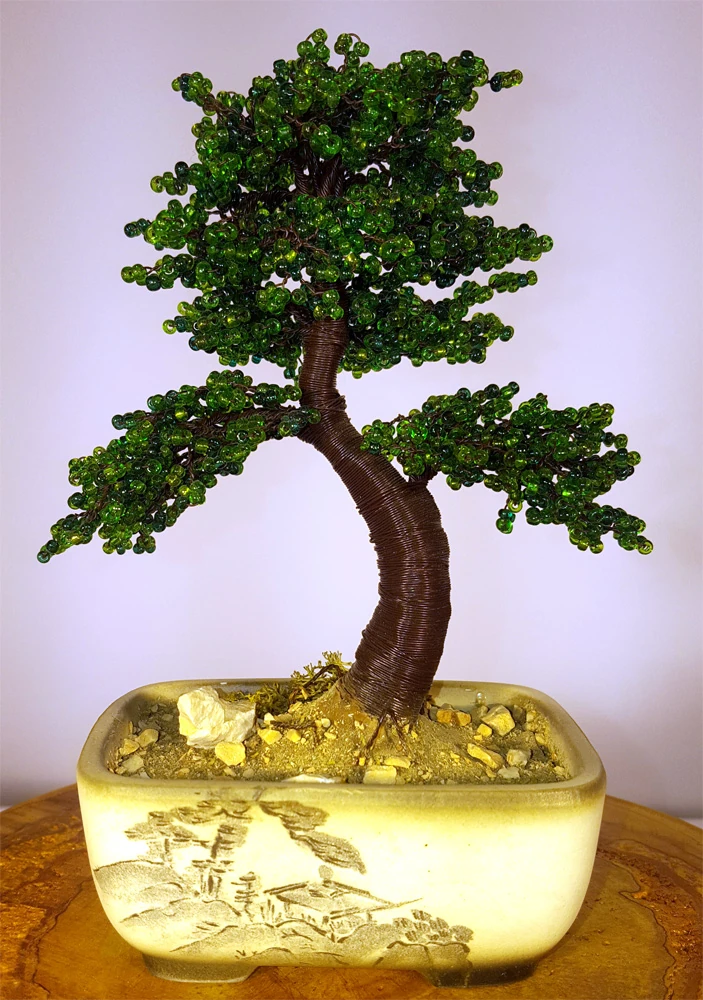 ginepro bonsai in vaso decorato