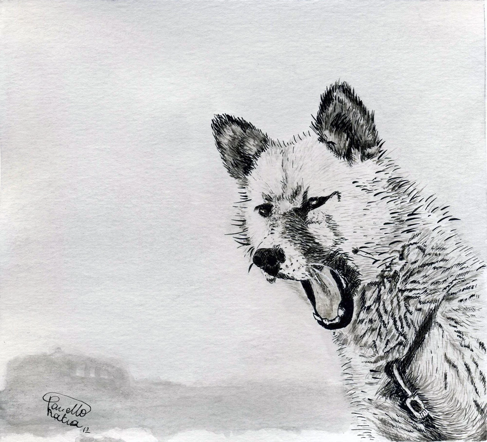 Wolf (omaggio a Ragnar Axelsson RAX)